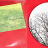 David Horvitz Picture Disc
