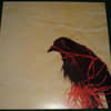 Transatlanticism