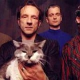 The Jesus Lizard