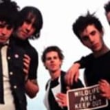 The Nerve Agents
