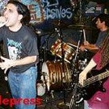 Cattlepress