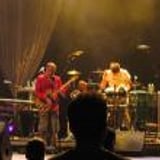 Guster