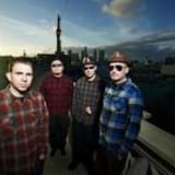 The Aggrolites