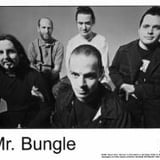 Mr. Bungle