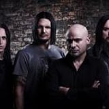 Disturbed