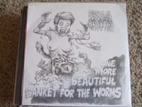 One More Beautiful Blanket For The Worms