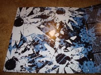 Fractures