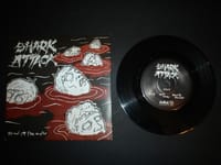 Blood In The Water