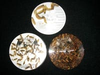 Maggots