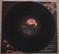 Animals in the Dark