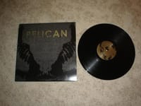 Pelican