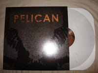 Pelican