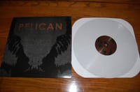 Pelican