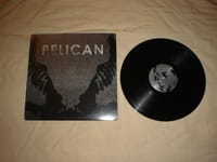 Pelican