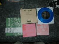 Orchid