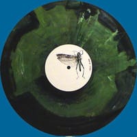 The Locust