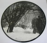 Love Like Winter