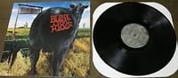 Dude Ranch