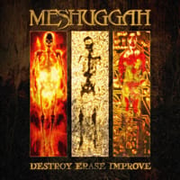 Destroy Erase Improve
