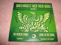 When Angels Shed Their Wings : Volume 3