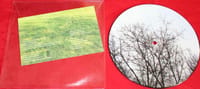 David Horvitz Picture Disc