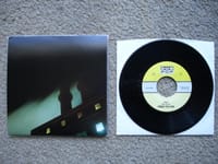 Sub Pop Singles Series