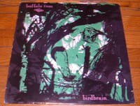 Birdbrain