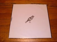 Birdbrain