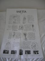 Saetia