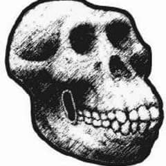 Australopithecus Records