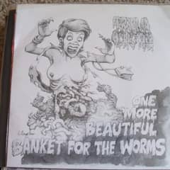 One More Beautiful Blanket For The Worms
