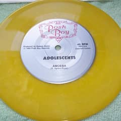 Amoeba
