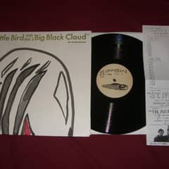 Little Bird Flies Into A Big Black Cloud