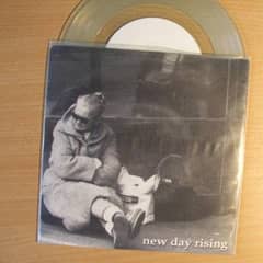 New Day Rising