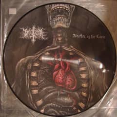 Weathering The Curse