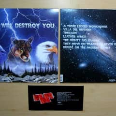 This Will Destroy You