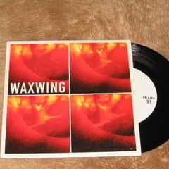 Waxwing