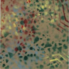 Sepsis