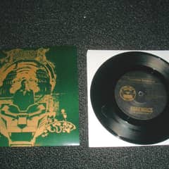 Green Lion