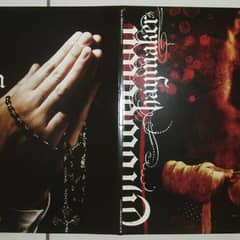 Haymaker/Vendetta