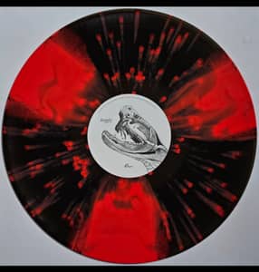 AFI - Sing The Sorrow (Geffen Records, B0037943-01) · 2xLP · Black Translucent And Red Pinwheel With Red Splatter, 20th Anniversary Edition · Limited Edition, Reissue
