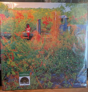 Jhene Aiko - Trip Vinyl RSD (SEALED) Mint Limited Edition 1 of 2000