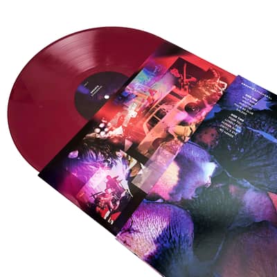 Image 3 of Groupie - Ephemeral LP