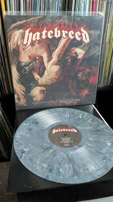 Hatebreed - The Divinity Of Purpose