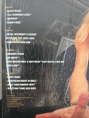 Image 4 of Kid Rock Greatest Hits Vinyl LP