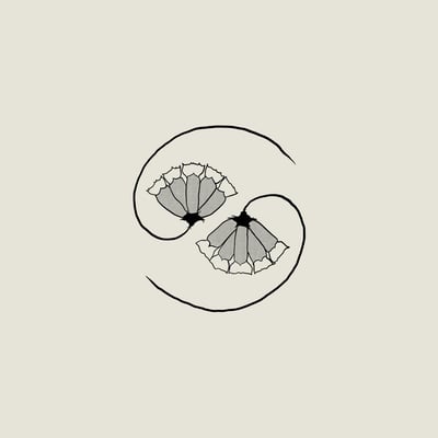 Godspeed You Black Emperor! - G_d's Pee At State's End! (Constellation, CST156) · LP, 180 + 10", EP + Album