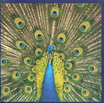 The Bluetones - Expecting To Fly (Superior Quality Recordings, Superior Quality Recordings, BLUECD 004, 540 475-2) · CD, Album