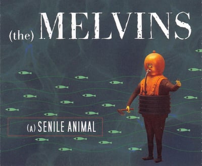 Melvins - (A) Senile Animal (Ipecac Recordings, IPC228LP) · 2xLP, Album, Ltd, MP, RE, Blu