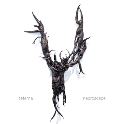 Tētēma - Necroscape (Ipecac Recordings, Ipecac Recordings, IPC-219LP, IPM-219) · LP, Album, Ltd, Whi