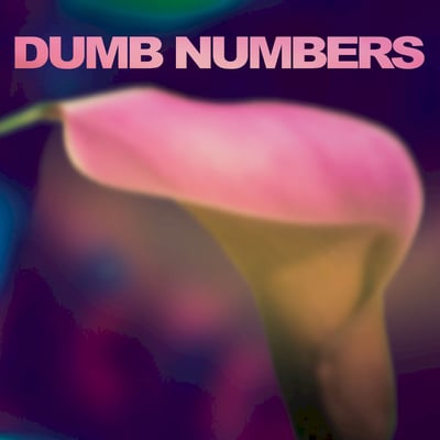 Dumb Numbers - My Mantra (Joyful Noise Recordings, JNR 200-16) · 7", Ltd, Cle